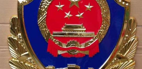 警徽制作规范与标准：确保警徽权威性及统一性